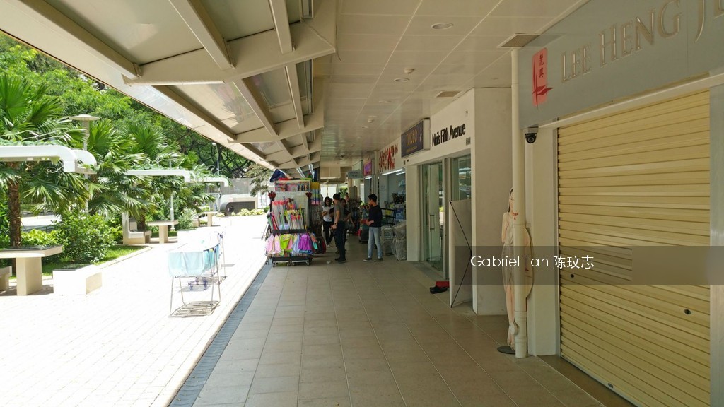 TIONG BAHRU VIEW (D3), HDB Shop House #113259542